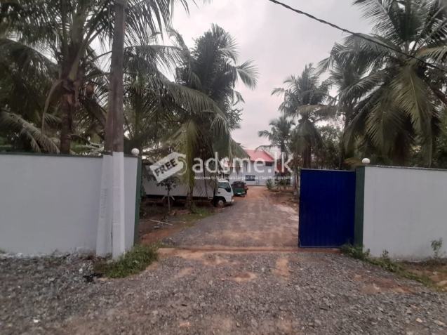 Factory+land for sale/rent