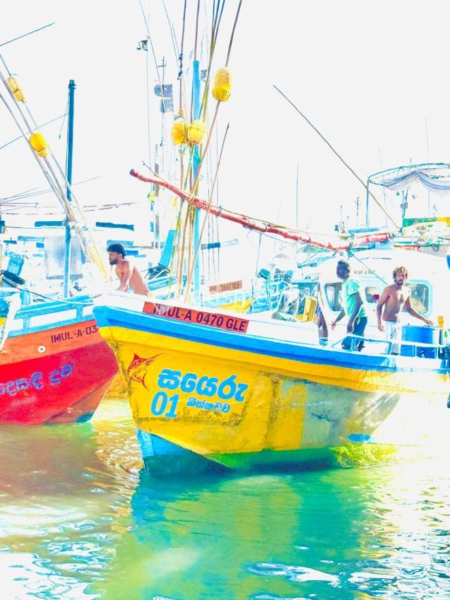 Boat For Sale