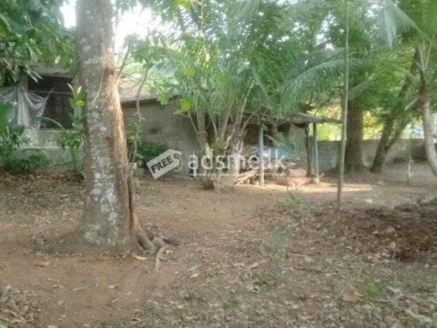 Valuable Residential Land for Sale in Mangala Mawatha, Kadawatha.