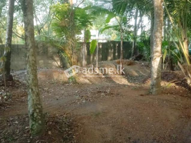 Valuable Residential Land for Sale in Mangala Mawatha, Kadawatha.