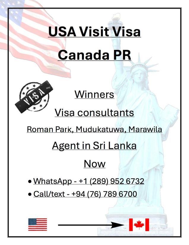 Visa consultant