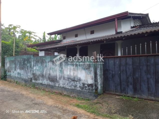 Houses for sale