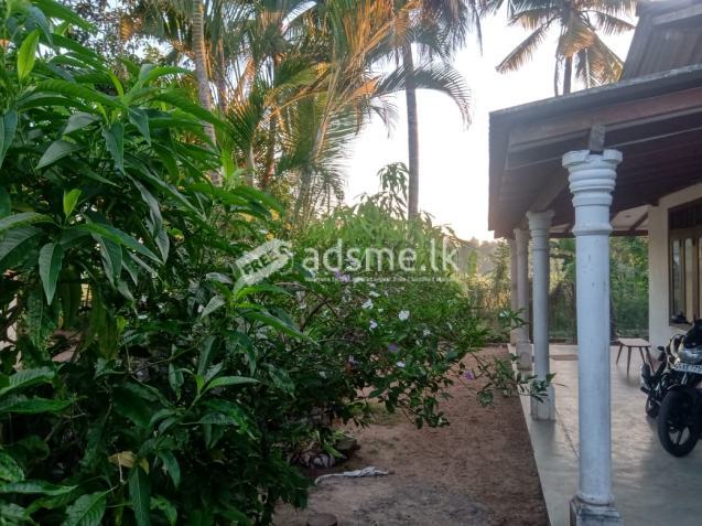 LAND AND HOUSE FOR SALE