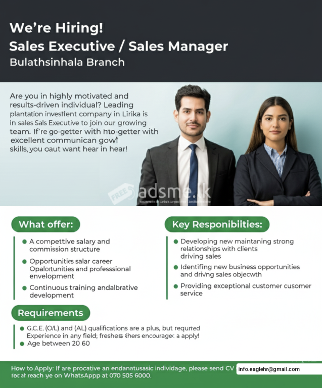 Sales Executive / Sales Manager