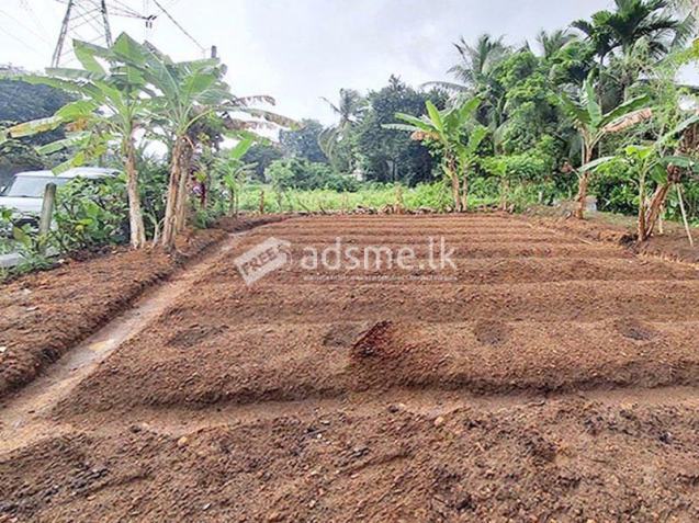 Valuable Land Property for Sale in Pitipana, Homagama.