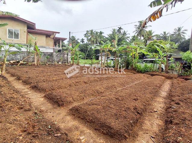 Valuable Land Property for Sale in Pitipana, Homagama.