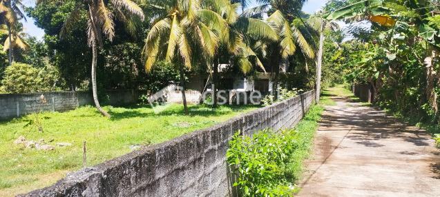Commercial Land for Sale in Bandaragama Town
