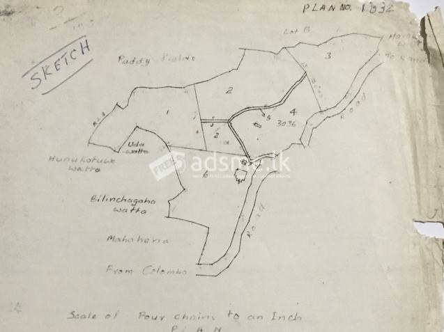 Land for sale