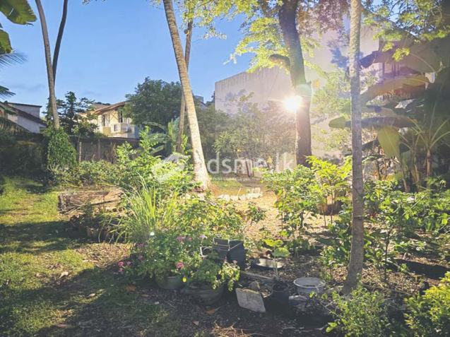Highly Residential Land for Sale in Mount Lavinia.