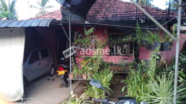 2 House For Sale