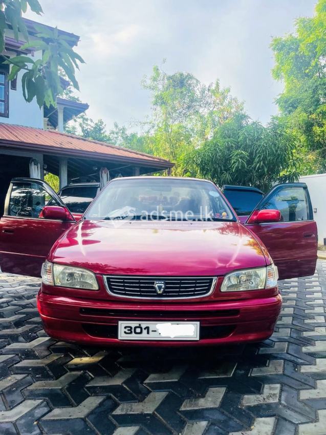 Toyota Corolla 1997 (Used)