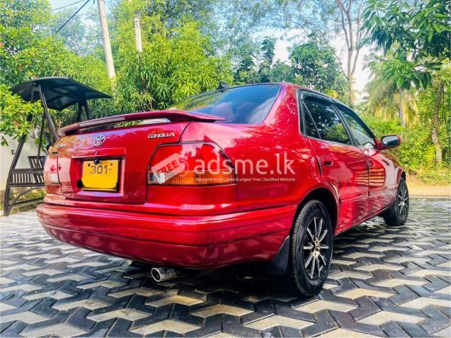 Toyota Corolla 1997 (Used)