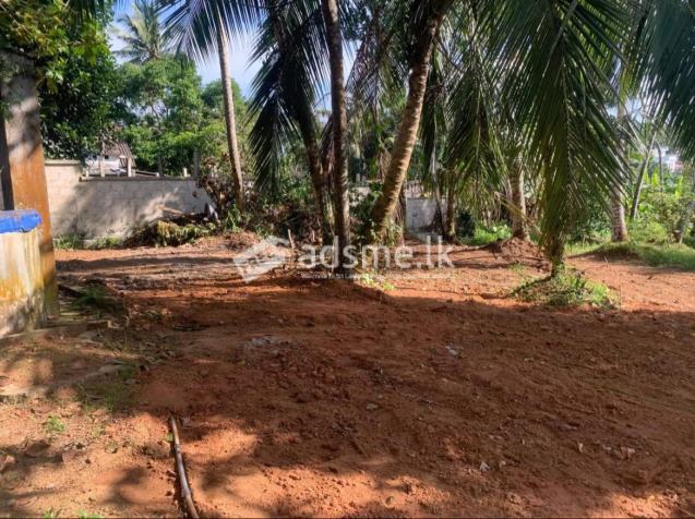 Land For Sale in Panagoda