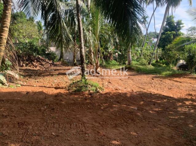 Land For Sale in Panagoda