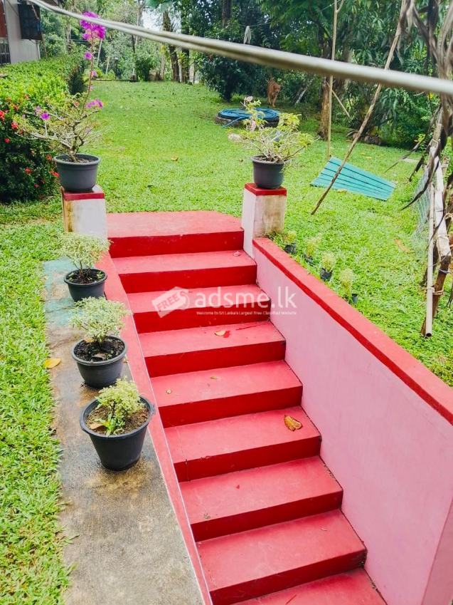 House For Sale