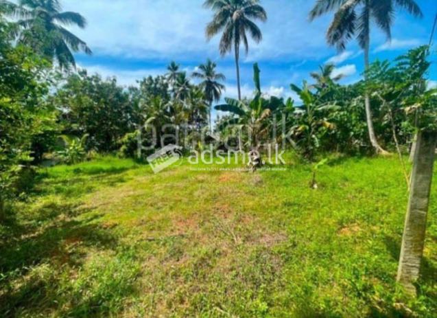 Commercial cum Residential Land for Sale in Kotadeniyawa.