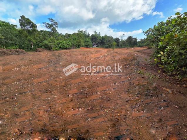 34 Acres Prime Land for Sale Kalutara.