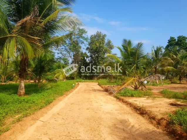 12 residential and commercial plots for immediate sale in Embilipitiya town.
