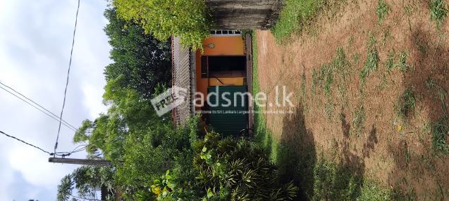 Land with the house for sale