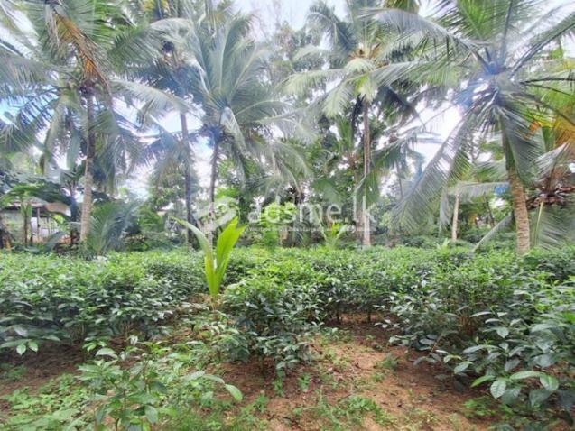 Road facing Prime Commercial or Residential Land for Sale in Bandaragama