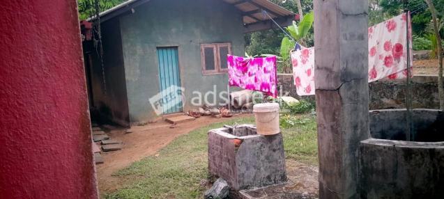 ගම්පහ දිස්ත්‍රික්කයේ කිරිඳිවැල නගරාසන්නයෙන් අංගසම්පූර්ණ නිවසක් විකිණීමට ඇත