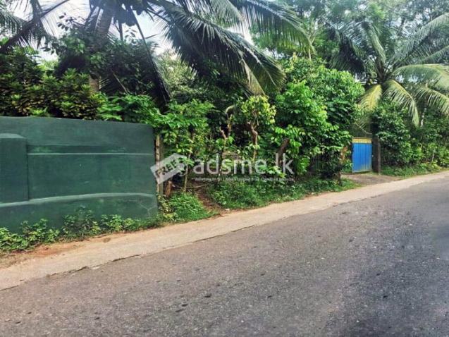 Beautiful High-Value Property with Ancestral House for Sale at Walahanduwa, Galle.
