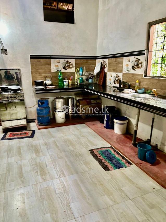 Full Finishing House For Sale Or Rent