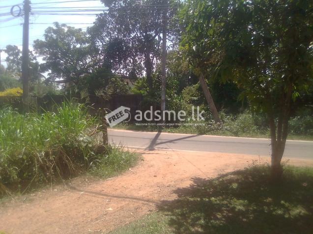 රයිගම්පුරයෙන් අගනා ඉඩමක් විකිණීමට