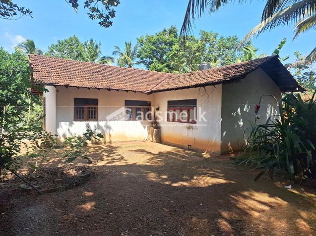 Basic House for Sale – Thammitawatte, Hunumulla (Badalgama)