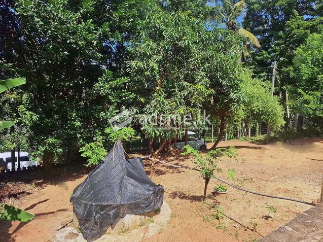 Basic House for Sale – Thammitawatte, Hunumulla (Badalgama)