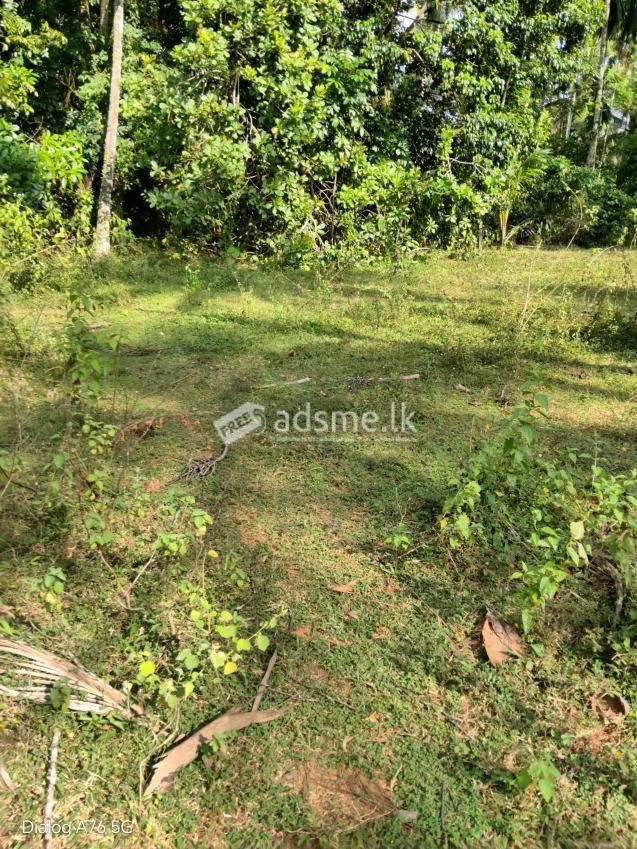 Land for sale near Kadawatha highway entrance
