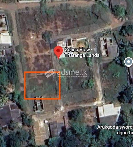 පානදුර අලුබෝමුල්ලෙන් වටිනා ඉඩමක් වහා විකිණීමට