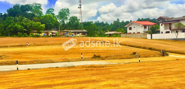 පානදුර අලුබෝමුල්ලෙන් වටිනා ඉඩමක් වහා විකිණීමට