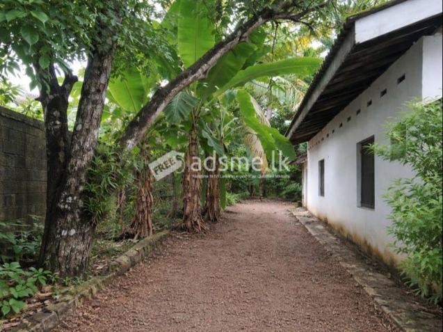 Prime Land for Sale in Pannipitiya – Panawatte Road, Arruwala.