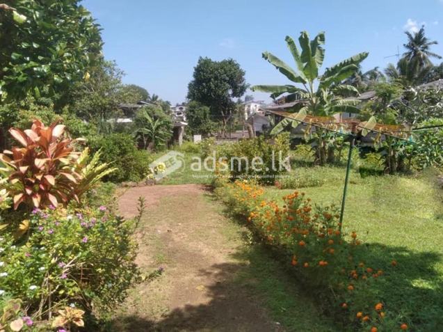 Prime Residential Land for Sale – Jubilee Post, Mirihana