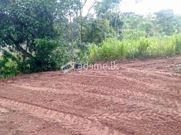 Prime Residential / Investment Land for Sale – Malabe.