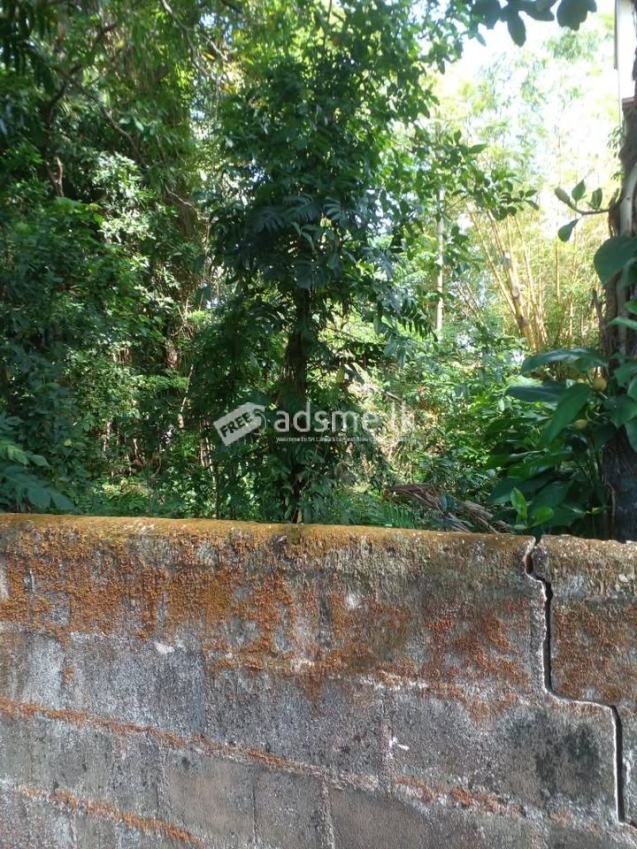 Prime Residential Land for Sale in Dehiwala
