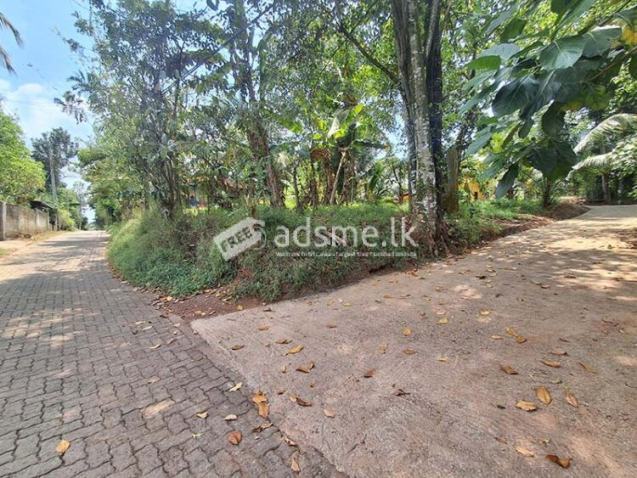 Residential Land for Sale in Weediyawatte, Udugampola, Gampaha.