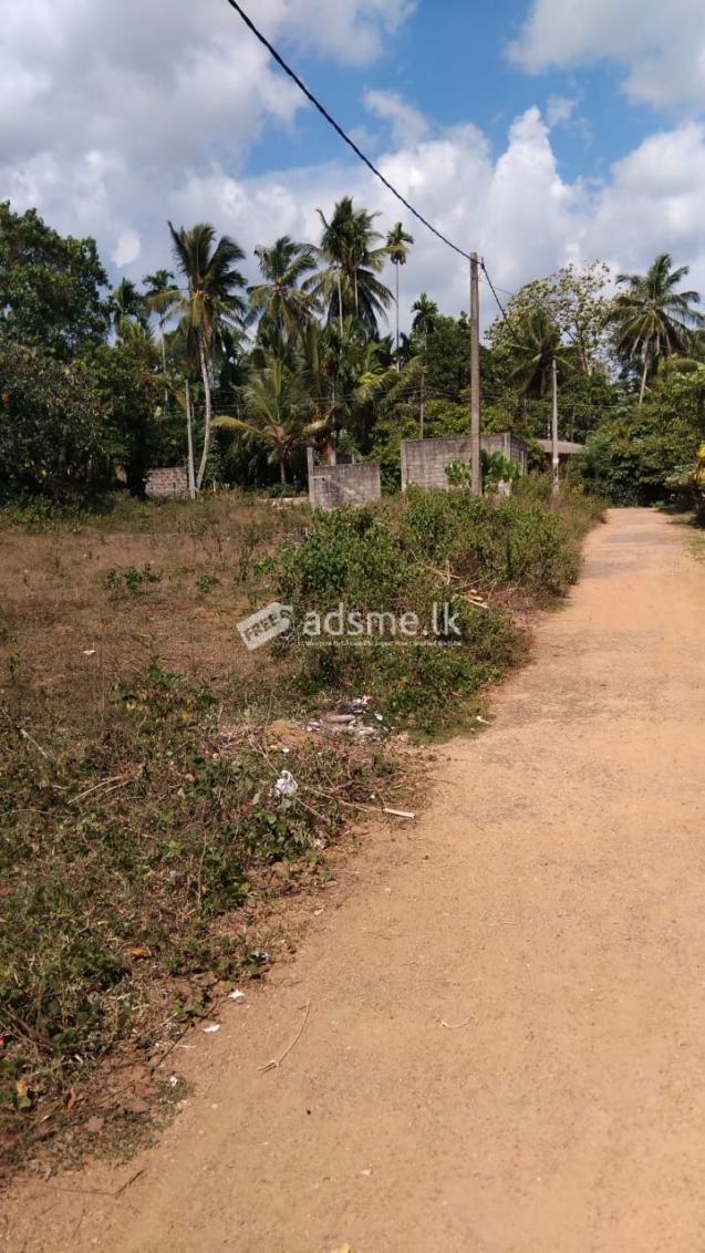 Land For Sale