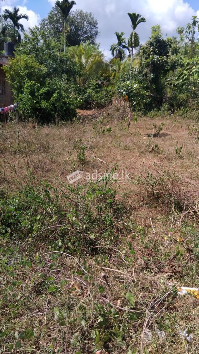 Land For Sale