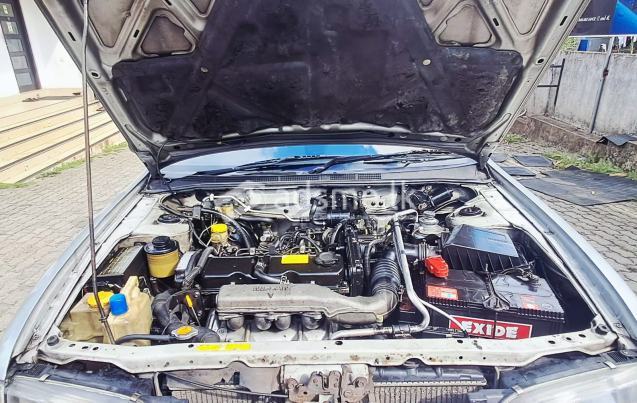 Nissan Sunny 1999 (Used)