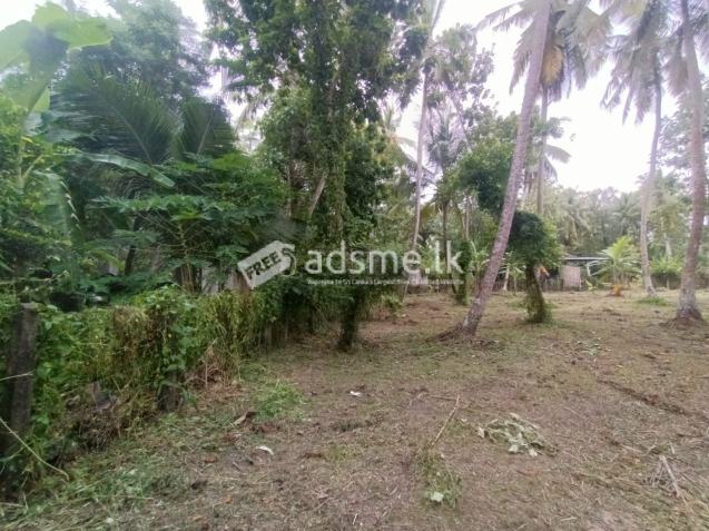 Land for sale in marawilla