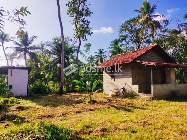 Land for sale in marawilla