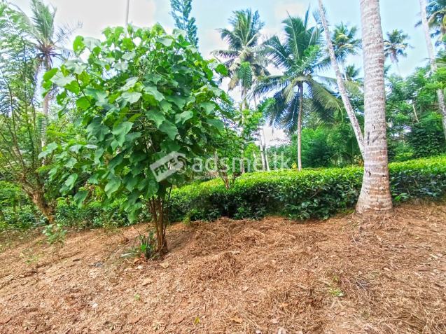 367 Perches Scenic Land for Sale in Ahangama.