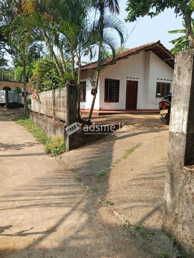 House For Sale