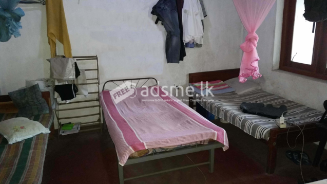 Shared Rooms for Rent for Gents in Nugegoda