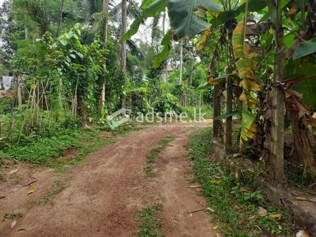 Residential Land for Sale, Wickramarachchi Mawatha, Yakkala.