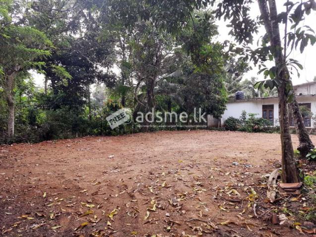 Residential Land for Sale, Wickramarachchi Mawatha, Yakkala.