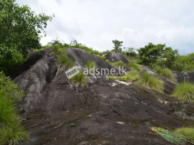 LAND FOR SALE – WARANA, KALAGEDIHENA (GAMPAHA DISTRICT)