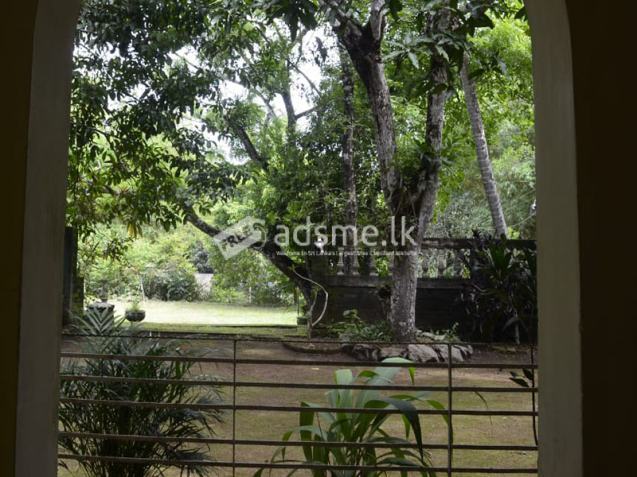 LAND FOR SALE – WARANA, KALAGEDIHENA (GAMPAHA DISTRICT)